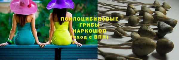 mix Богородск